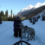 Me, getting friendly with the Jasper sled dogs.